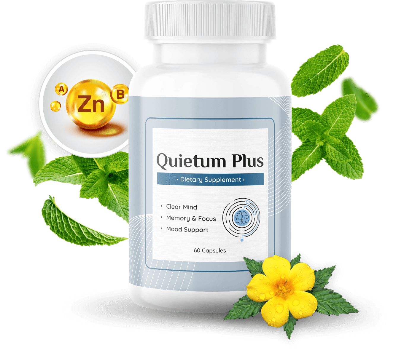 Natural Ingredients Used in Quietum Plus Supplement